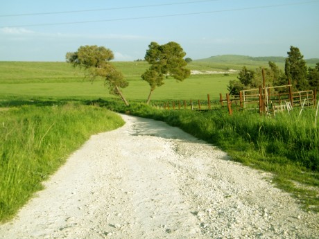אירוע אביבי ברמות מנשה