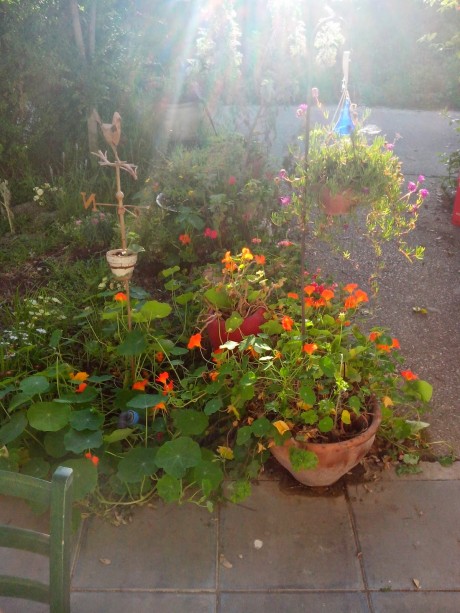 דרך טבע וצבע