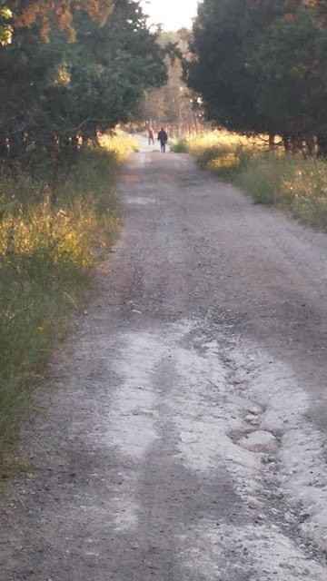 בועות, איורים, ואיך אפשר בלי מחשבות